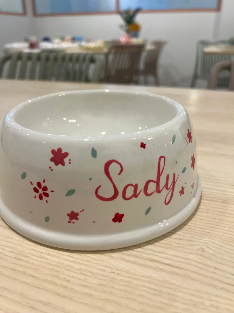 Gamelle à décorer - Peinture sur émail sans four de potier – Image 4