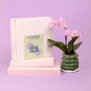 Box modelage & jardinage - Réalisez votre pot de fleurs et semez vos plantes aromatiques !